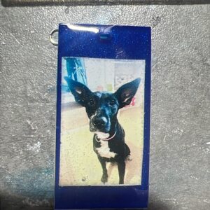 Imágenes con Resina Epoxi